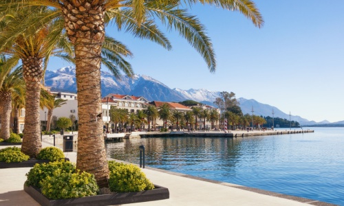 Bakı - Tivat